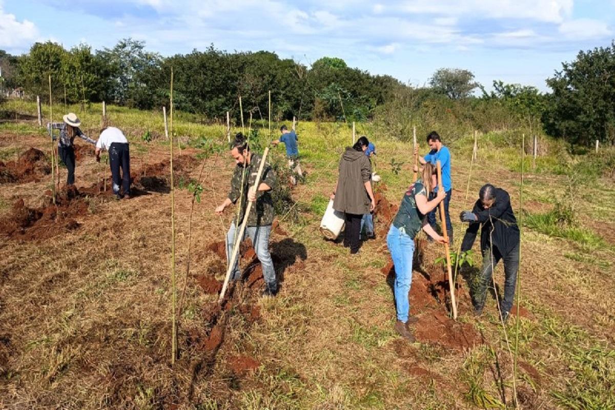 Prefeitura realizou o plantio de 3.608 árvores em 2025